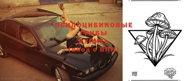 бутират Осинники