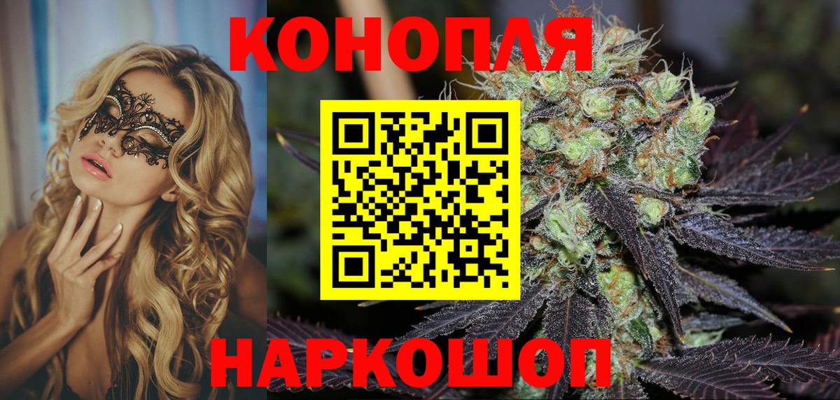 Бошки Шишки сатива Сафоново